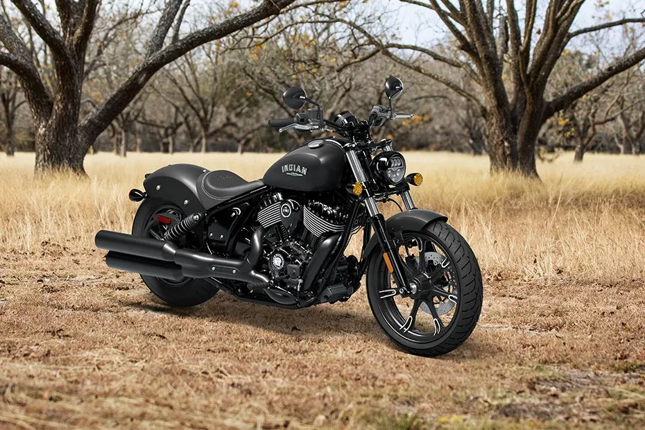 Indian Chief Dark Horse