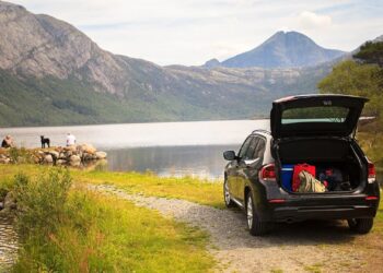 Road Ready Must Haves Road Trip Essentials for the car