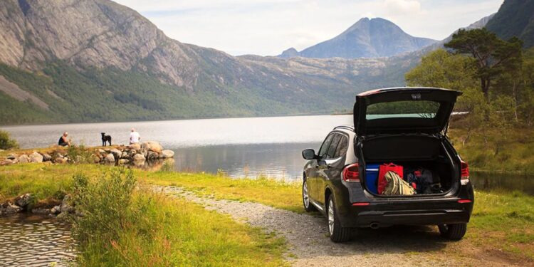 Road Ready Must Haves Road Trip Essentials for the car