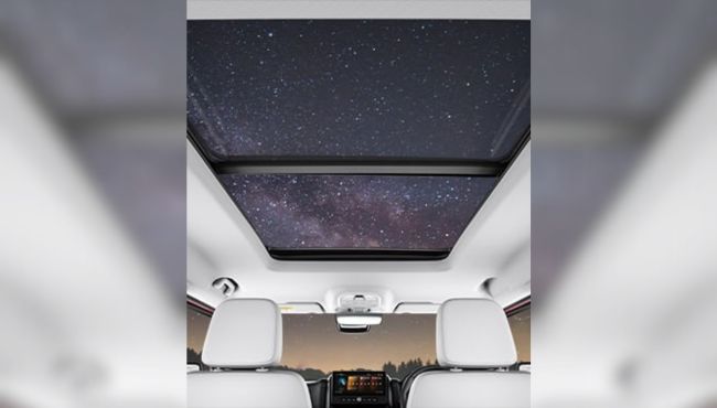 THAR ROXX roof view